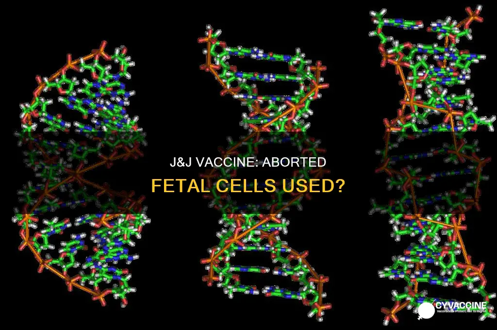 does j&j vaccine contain aborted fetal cells