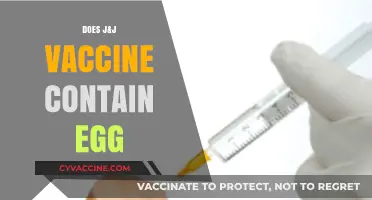 Does the J&J Vaccine Contain Egg? Facts and Allergy Concerns
