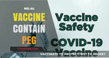 Does J&J Vaccine Contain PEG? Ingredients and Allergy Concerns Explained