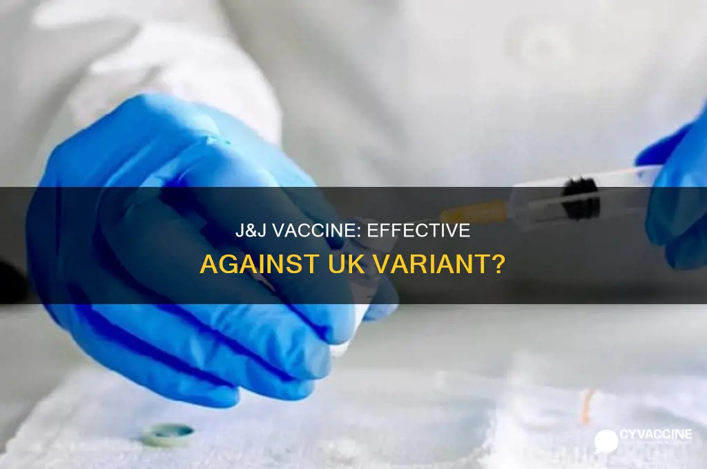 does j&j vaccine protect against uk variant