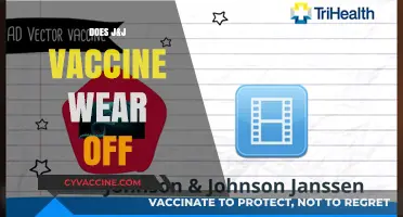Does J&J Vaccine Wear Off? Efficacy and Longevity Explained