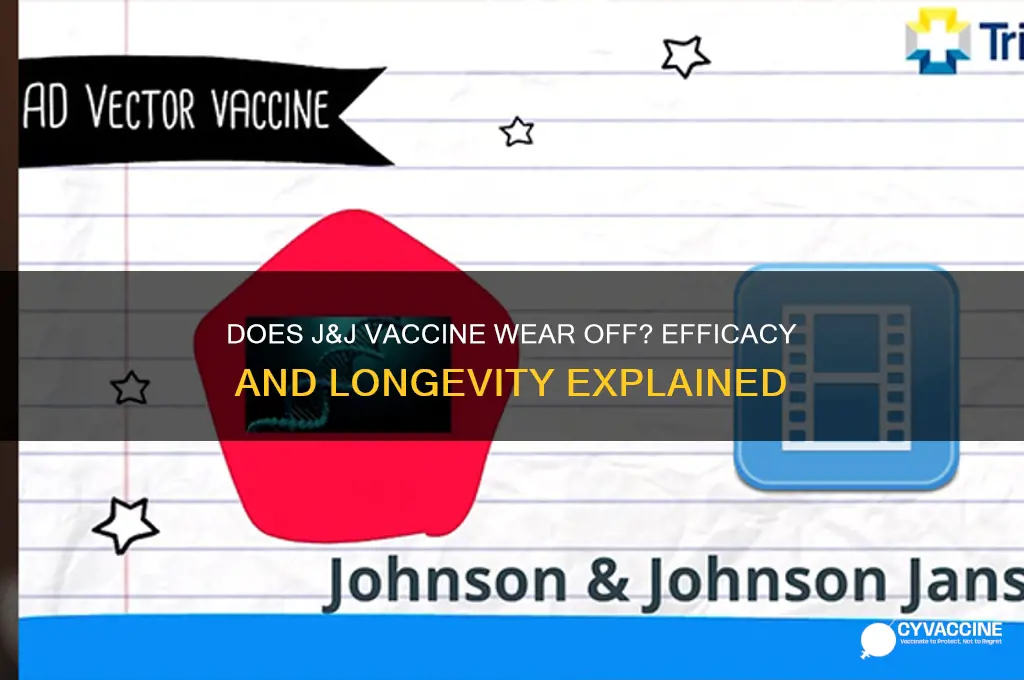 does j&j vaccine wear off