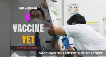 Japan's COVID-19 Vaccine Status: Updates and Availability Explained