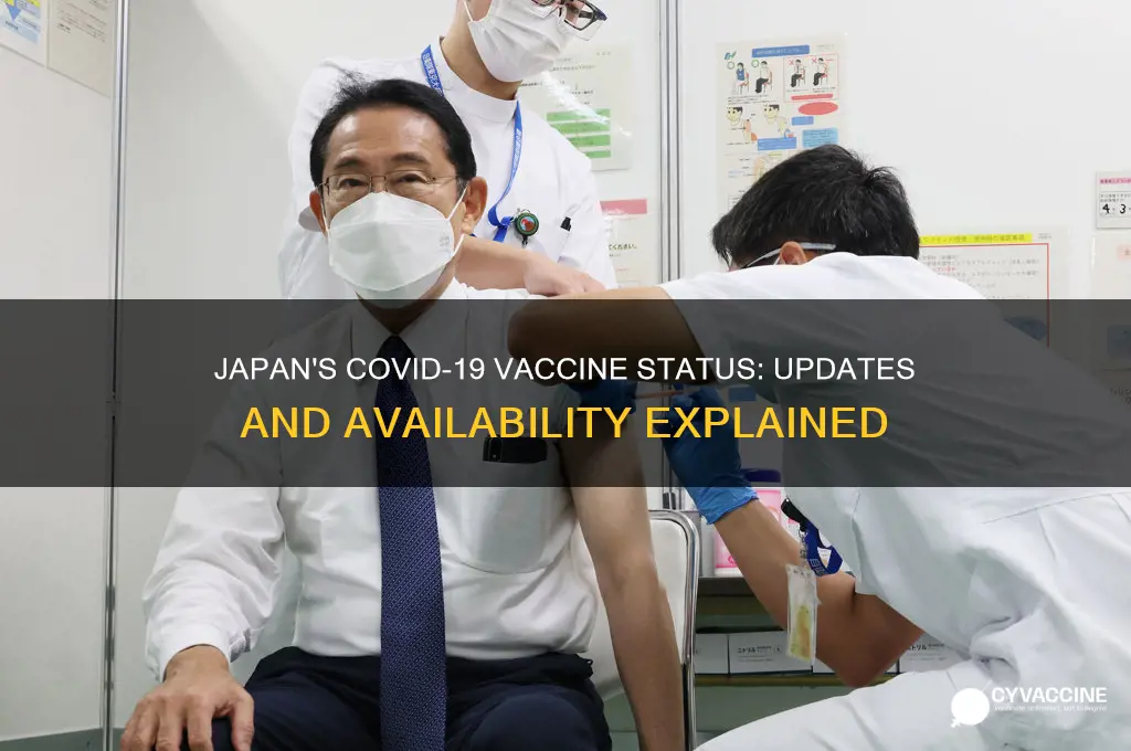 does japan have a vaccine yet