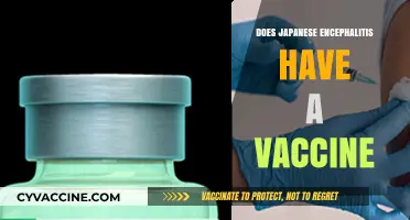 Japanese Encephalitis Vaccine: Availability, Efficacy, and Prevention Strategies