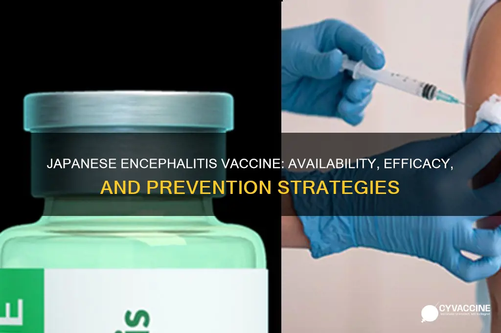 does japanese encephalitis have a vaccine