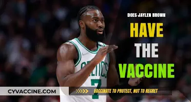 Jaylen Brown's Vaccine Status: What We Know So Far