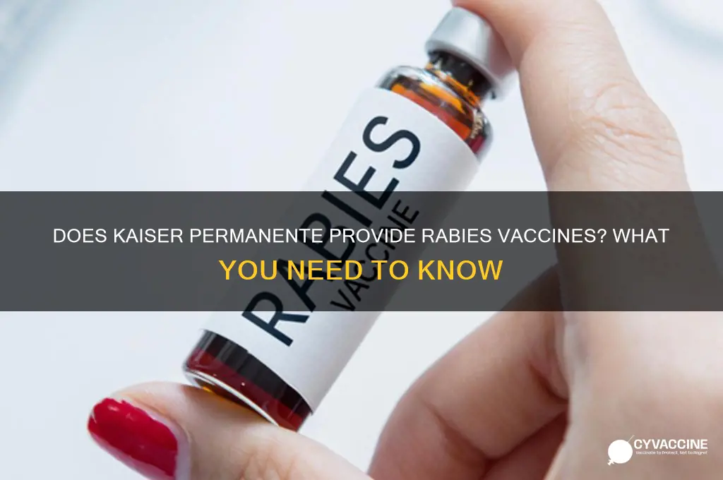 does kaiser permanente offer rabies vaccine