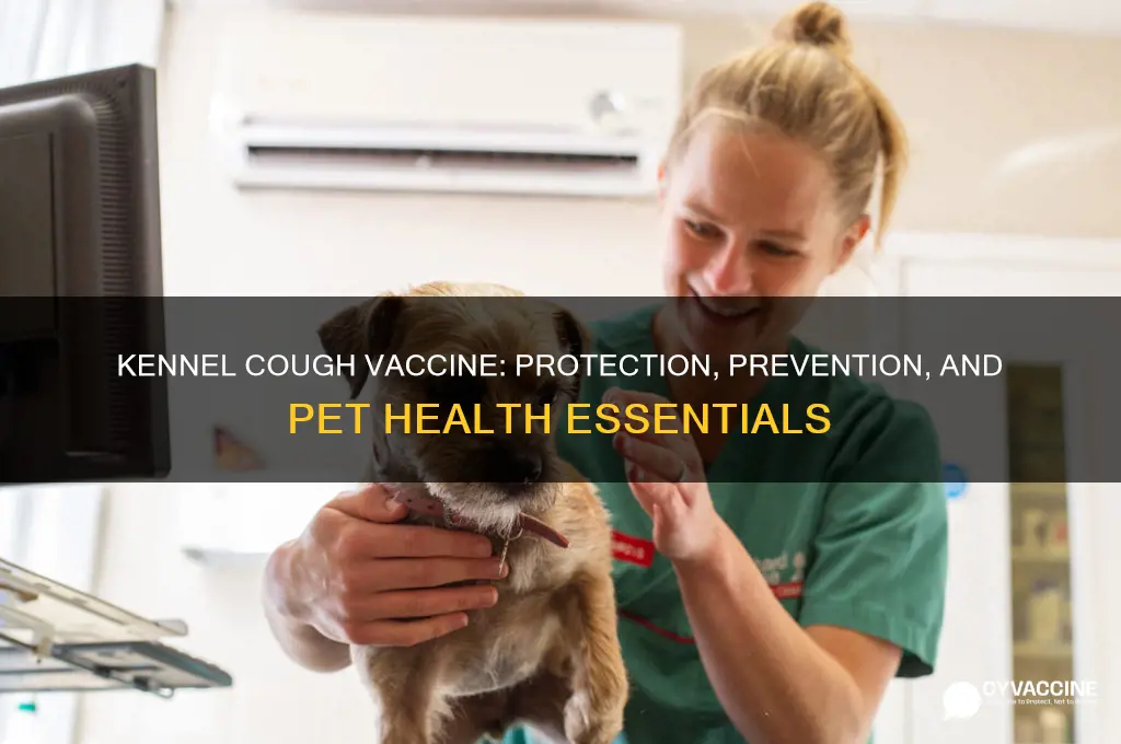 does kennel cough have a vaccine