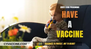 Can a Vaccine Prevent Lead Poisoning? Exploring the Possibilities