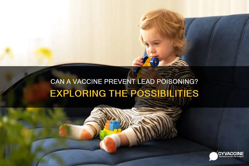 does lead poisoning have a vaccine