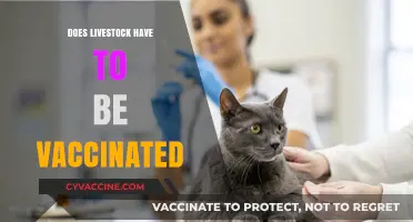 Livestock Vaccinations: Essential Health Measures or Optional Practices?