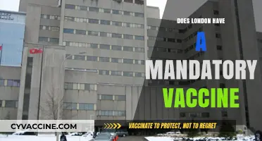 London's Vaccine Mandate: Fact-Checking the Rules and Requirements