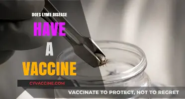 Lyme Disease Vaccine: Current Status, Availability, and Prevention Strategies