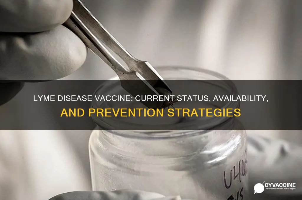 does lyme disease have a vaccine
