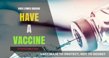 Lyme Disease Vaccine: Current Status, Availability, and Prevention Strategies