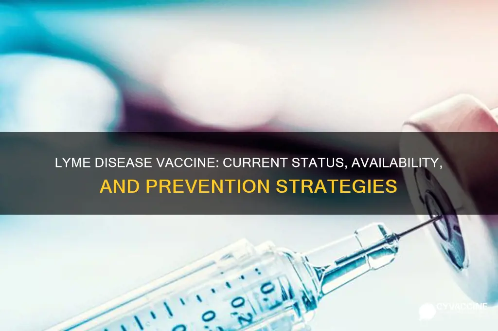does lymes disease have a vaccine