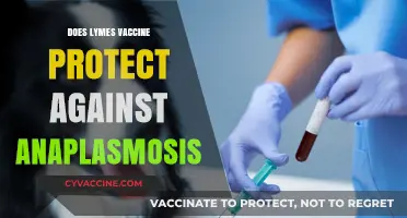 Lyme Vaccine: Does It Offer Protection Against Anaplasmosis Too?