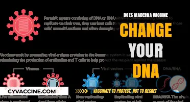 Does the Moderna Vaccine Alter Your DNA? Separating Fact from Fiction