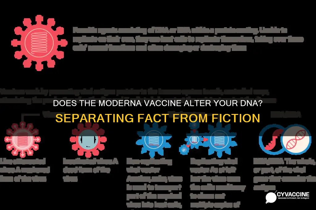 does maderna vaccine change your dna
