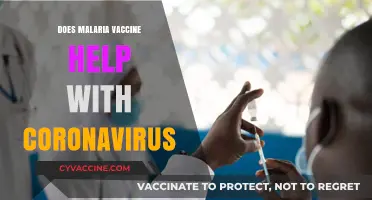 Malaria Vaccine and COVID-19: Exploring Potential Cross-Protection Benefits