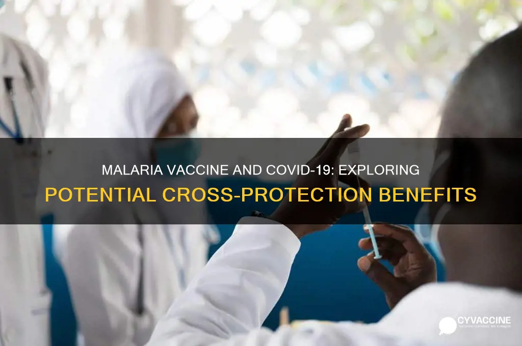 does malaria vaccine help with coronavirus