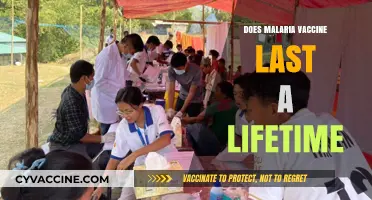 Malaria Vaccine Longevity: Does Protection Last a Lifetime?