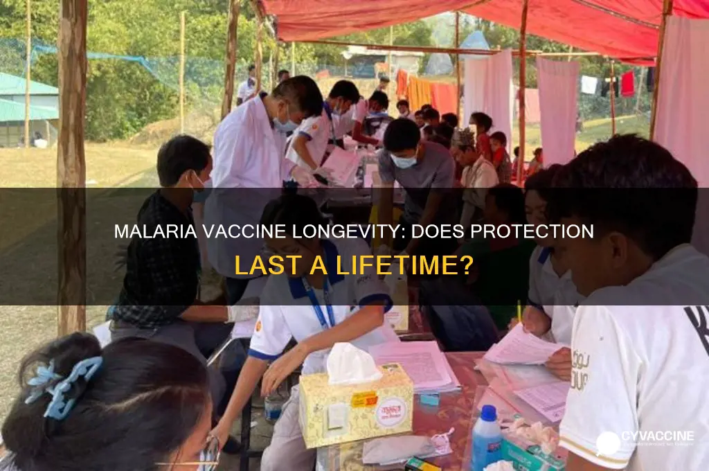 does malaria vaccine last a lifetime