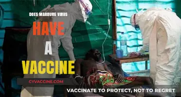 Marburg Virus: Current Vaccine Status and Future Prospects Explained