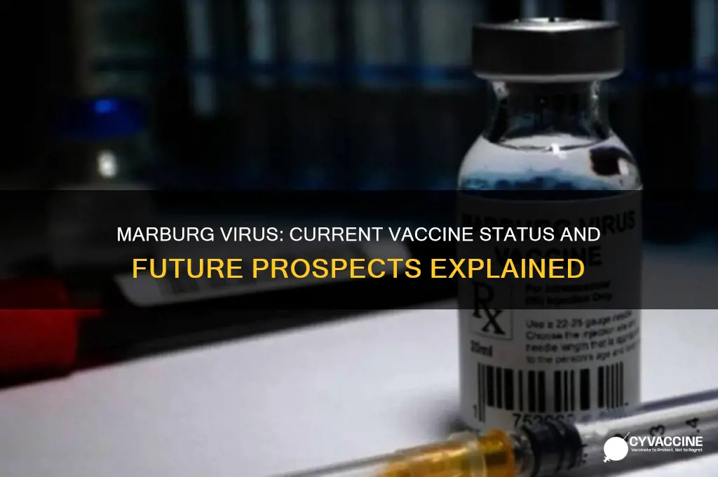 does marburg virus have a vaccine