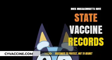 Massachusetts Vaccine Records: Accessing Your State Immunization History