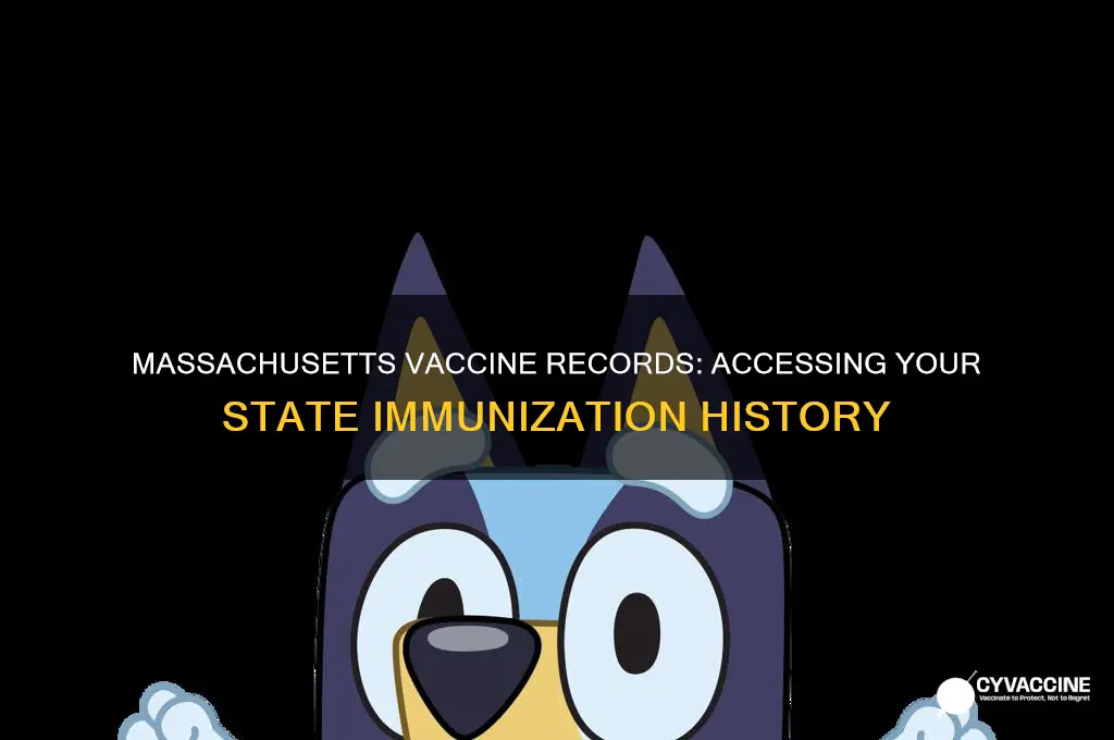 does massachusetts have state vaccine records