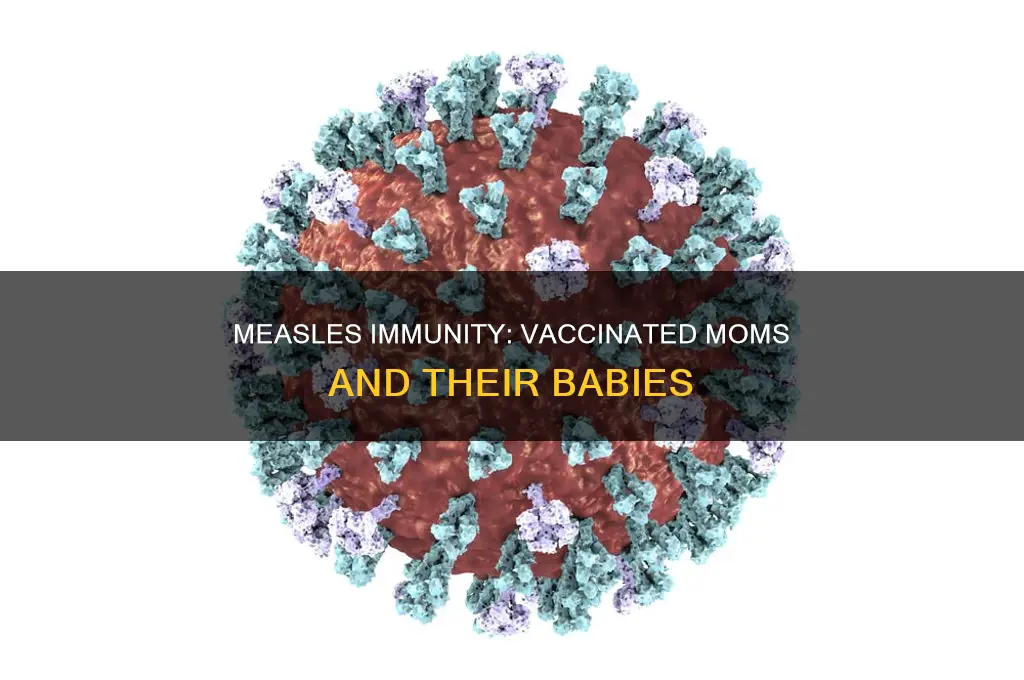 does measels impact 6 months old if mom is vaccinated