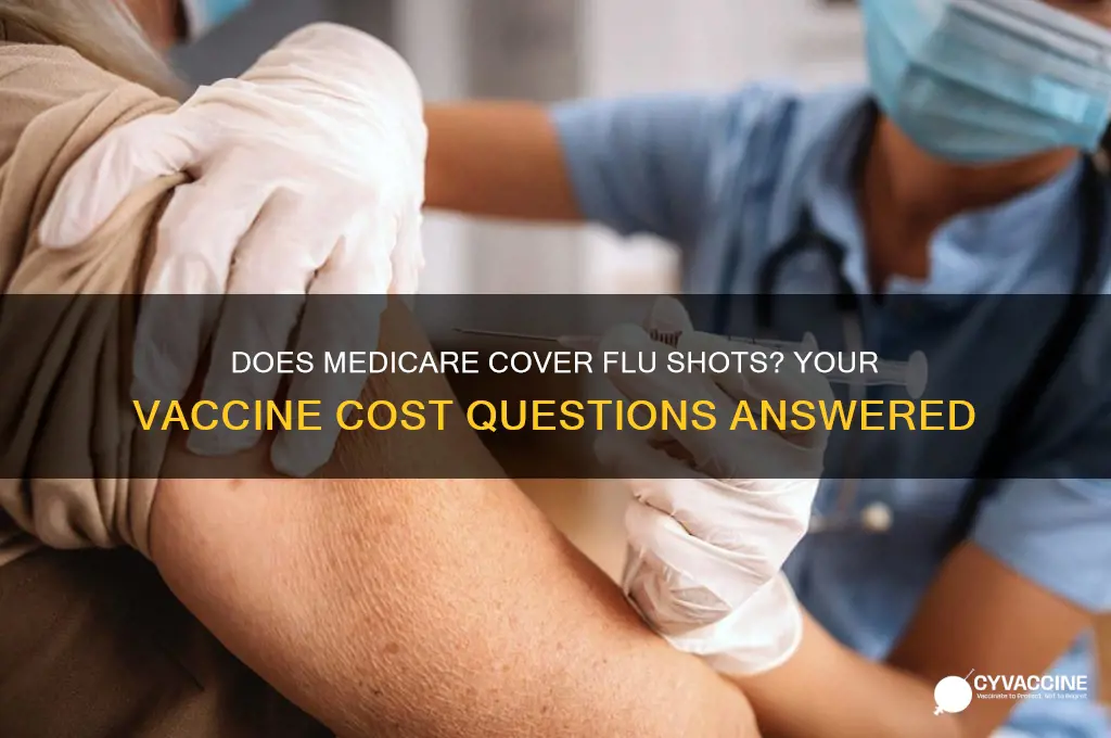 does medicare pay for influenza vaccine