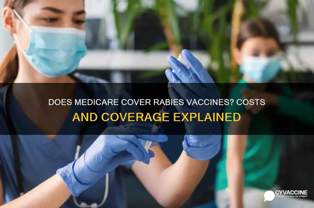does medicare pay for rabies vaccine