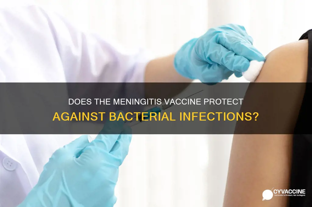 does menegitis vaccine protect against bacterial