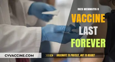 Meningitis B Vaccine: Longevity and Lifelong Protection Explained