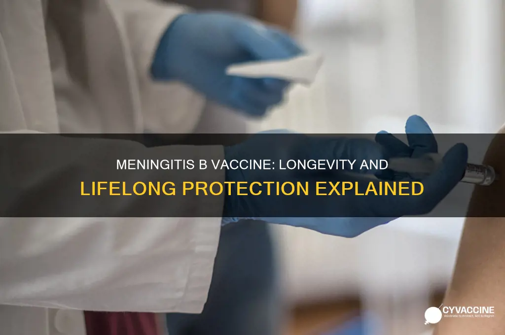 does meningitis b vaccine last forever