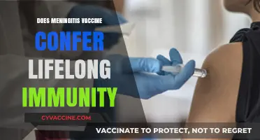 Meningitis Vaccine: Lifelong Immunity or Periodic Booster Need?