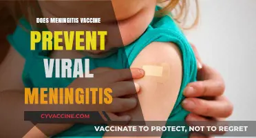 Can Meningitis Vaccines Protect Against Viral Meningitis? Facts Explained