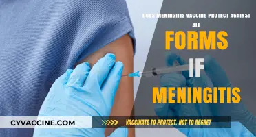 Meningitis Vaccine: All-Round Protection?