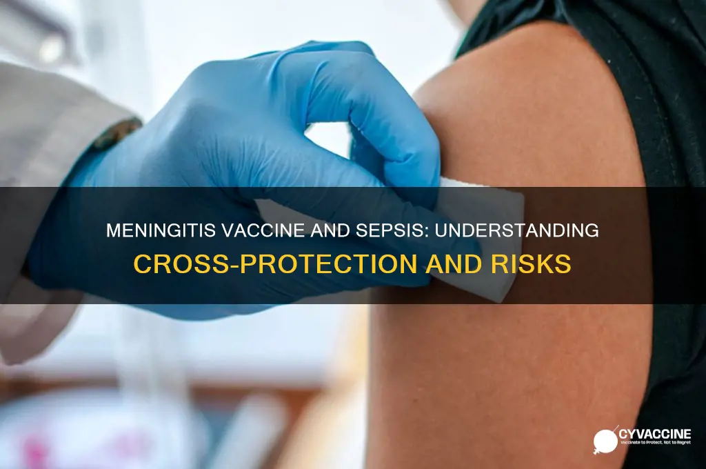 does meningitis vaccine protect against sepsis
