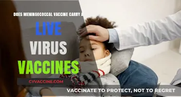 Meningococcal Vaccine: Live Virus or Not?