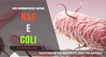 Meningococcal Vaccine and E. Coli: Unraveling the Connection