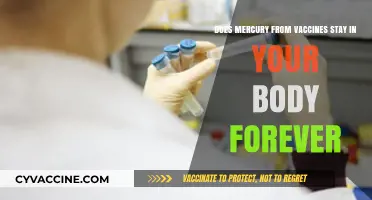 Vaccine Mercury: Does It Leave Your Body?