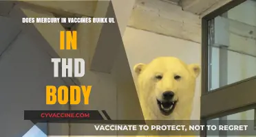 Vaccine Mercury: Does It Accumulate in the Body?