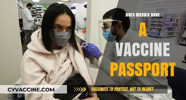 Mexico's Vaccine Passport: Current Status and Travel Requirements Explained