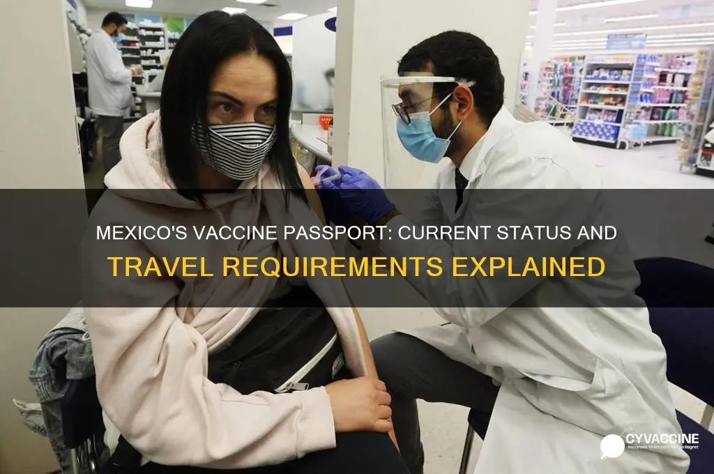 does mexico have a vaccine passport