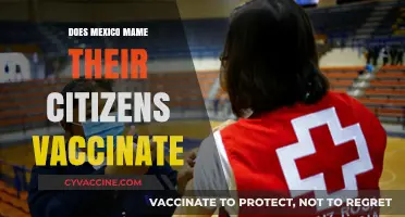 Does Mexico Mandate Vaccination for Its Citizens? Exploring the Facts
