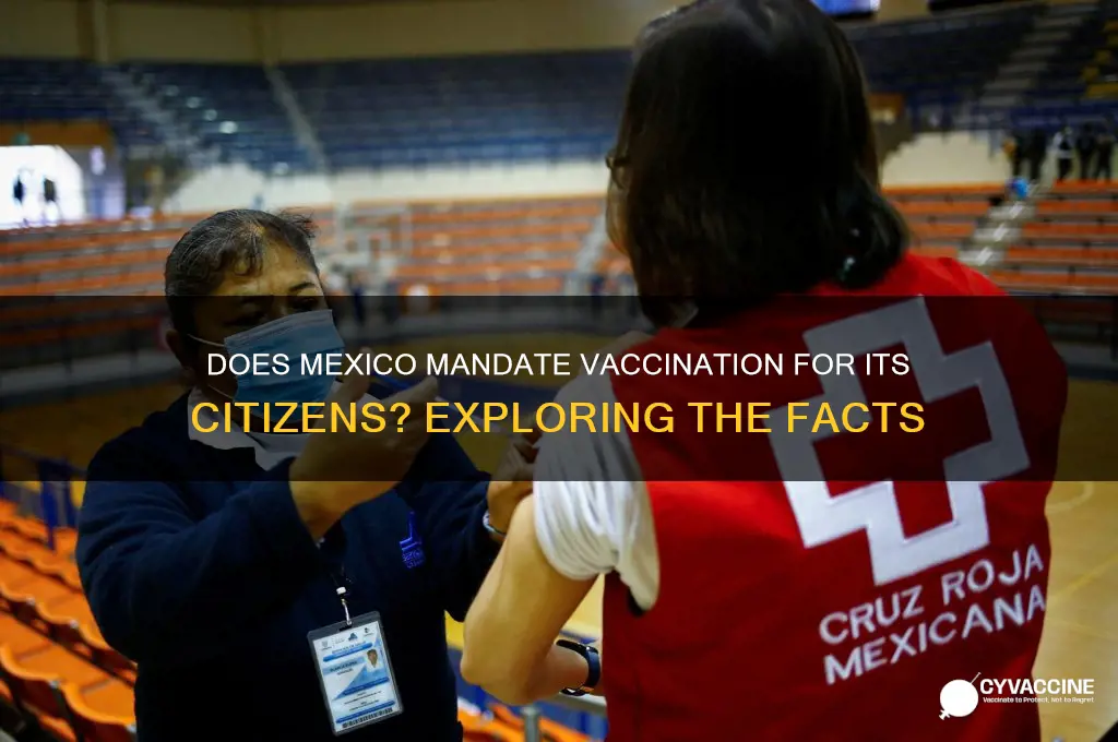does mexico mame their citizens vaccinate
